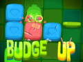Laro Budge Up