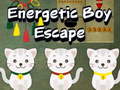 Laro Energetic Boy Escape