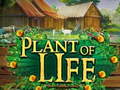 Laro Plant of Life