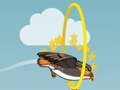 Laro Flying bird