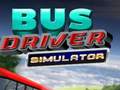 Laro Bus Driver Simulator
