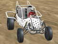 Laro Crazy Buggy Demolition Derby
