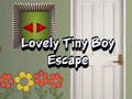 Laro Lovely Tiny Boy Escape