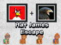 Laro Hat James Escape