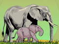 Laro Wild Animals and Their Babies