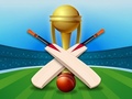 Laro Cricket Champions Cup