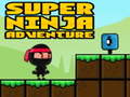 Laro Super Adventure Ninja