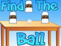 Laro Find The Ball
