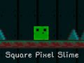 Laro Square Pixel Slime