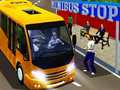 Laro City Minibus Driver