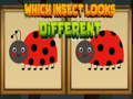 Laro Which Insect Looks Different