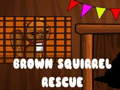 Laro Brown Squirrel Rescue