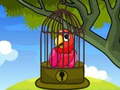 Laro Red Parrot Rescue