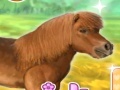Laro My Dear Pony