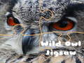 Laro Wild owl Jigsaw