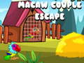 Laro Macaw Couple Escape