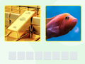 Laro Picword
