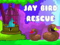 Laro Jay Bird Rescue