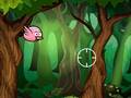 Laro Bird Hunting