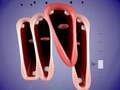 Laro Funny Chorus