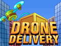 Laro Drone Delivery