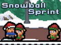 Laro Snowball Sprint