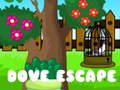 Laro Dove Escape