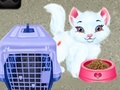 Laro Baby Taylor Pet Care