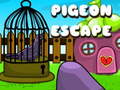 Laro Pigeon Escape