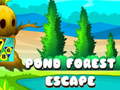 Laro Pond Forest Escape