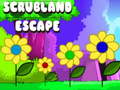 Laro Scrubland Escape