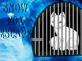 Laro Snow Fox Escape