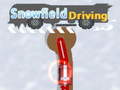 Laro Snowfield Driving