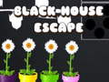 Laro Black House Escape