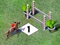 Laro Competition jump