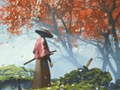Laro Samurai Reflexion