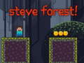 Laro Steve Forest