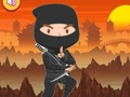 Laro Trained Ninja Puzzle