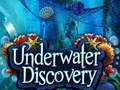 Laro Underwater Discovery