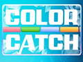 Laro Color Catch