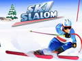 Laro Ski Slalom