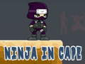 Laro Ninja in Cape