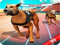 Laro Crazy Dog Race