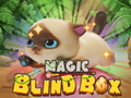 Laro Magic Blind Box
