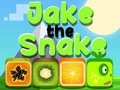 Laro Jake The Snake