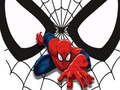 Laro Spiderman Match Cards