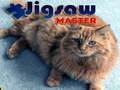 Laro Jigsaw Master 