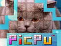 Laro PicPu Cat 