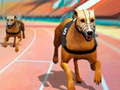 Laro Dogs3D Races