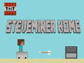 Laro Steveminer Home